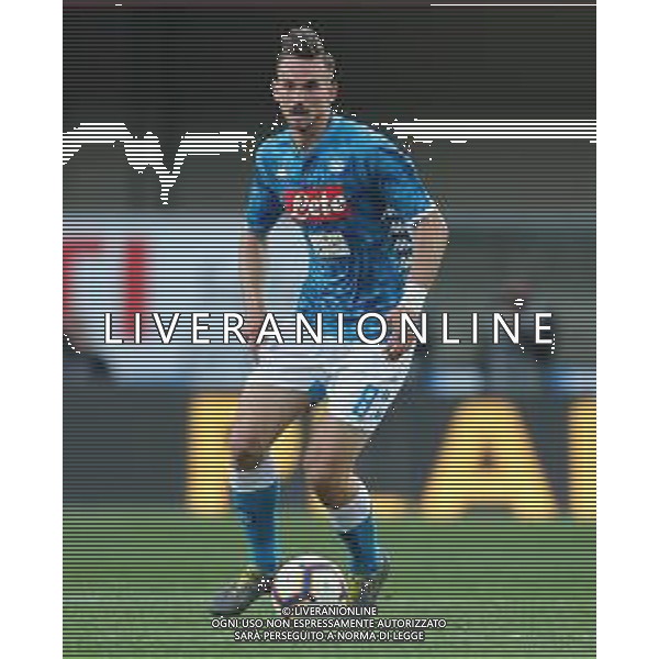 Campionato di Calcio Serie A TIM 2018/2019 32a Giornata Verona - 14.04.2019 Chievo-Napoli Nella Foto:Fabian Ruiz /Ph.Vitez-Ag. Aldo Liverani