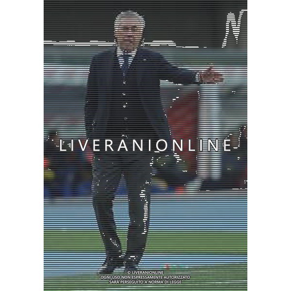 Campionato di Calcio Serie A TIM 2018/2019 32a Giornata Verona - 14.04.2019 Chievo-Napoli Nella Foto:Carlo Ancelotti /Ph.Vitez-Ag. Aldo Liverani