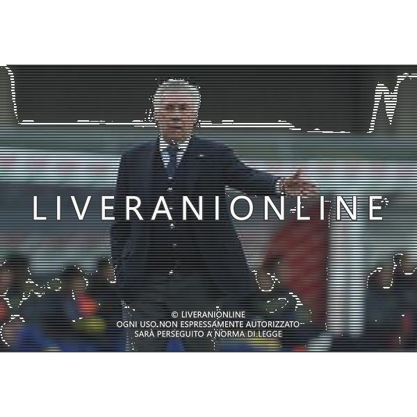 Campionato di Calcio Serie A TIM 2018/2019 32a Giornata Verona - 14.04.2019 Chievo-Napoli Nella Foto:Carlo Ancelotti /Ph.Vitez-Ag. Aldo Liverani