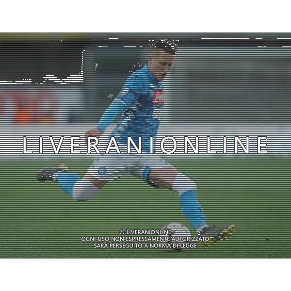 Campionato di Calcio Serie A TIM 2018/2019 32a Giornata Verona - 14.04.2019 Chievo-Napoli Nella Foto:Piotr Zielinski /Ph.Vitez-Ag. Aldo Liverani