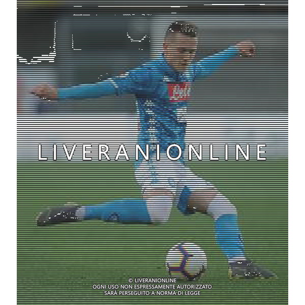 Campionato di Calcio Serie A TIM 2018/2019 32a Giornata Verona - 14.04.2019 Chievo-Napoli Nella Foto:Piotr Zielinski /Ph.Vitez-Ag. Aldo Liverani