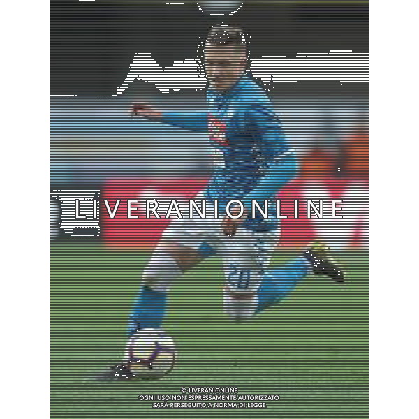 Campionato di Calcio Serie A TIM 2018/2019 32a Giornata Verona - 14.04.2019 Chievo-Napoli Nella Foto:Piotr Zielinski /Ph.Vitez-Ag. Aldo Liverani