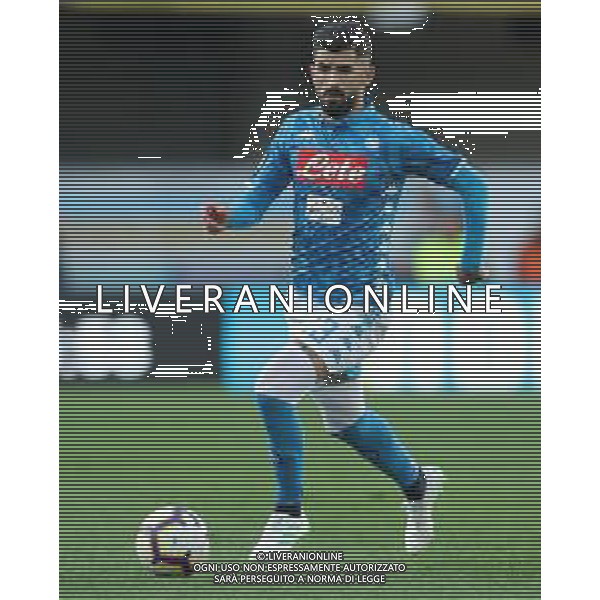 Campionato di Calcio Serie A TIM 2018/2019 32a Giornata Verona - 14.04.2019 Chievo-Napoli Nella Foto:Elseid Hysaj /Ph.Vitez-Ag. Aldo Liverani