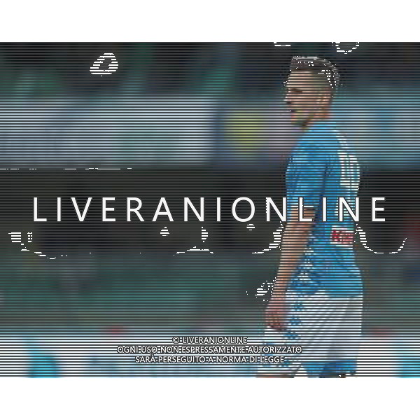 Campionato di Calcio Serie A TIM 2018/2019 32a Giornata Verona - 14.04.2019 Chievo-Napoli Nella Foto:Arkadiusz Milik /Ph.Vitez-Ag. Aldo Liverani