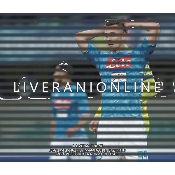 Campionato di Calcio Serie A TIM 2018/2019 32a Giornata Verona - 14.04.2019 Chievo-Napoli Nella Foto:Arkadiusz Milik /Ph.Vitez-Ag. Aldo Liverani