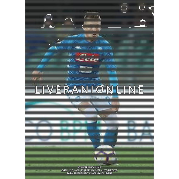 Campionato di Calcio Serie A TIM 2018/2019 32a Giornata Verona - 14.04.2019 Chievo-Napoli Nella Foto:Piotr Zielinski /Ph.Vitez-Ag. Aldo Liverani
