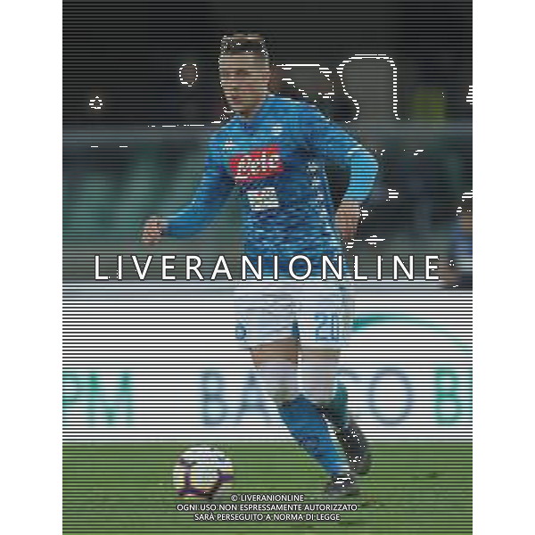 Campionato di Calcio Serie A TIM 2018/2019 32a Giornata Verona - 14.04.2019 Chievo-Napoli Nella Foto:Piotr Zielinski /Ph.Vitez-Ag. Aldo Liverani