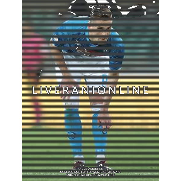 Campionato di Calcio Serie A TIM 2018/2019 32a Giornata Verona - 14.04.2019 Chievo-Napoli Nella Foto:Arkadiusz Milik /Ph.Vitez-Ag. Aldo Liverani