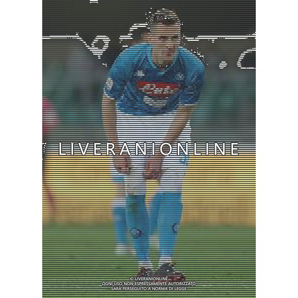 Campionato di Calcio Serie A TIM 2018/2019 32a Giornata Verona - 14.04.2019 Chievo-Napoli Nella Foto:Arkadiusz Milik /Ph.Vitez-Ag. Aldo Liverani