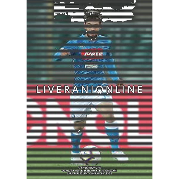 Campionato di Calcio Serie A TIM 2018/2019 32a Giornata Verona - 14.04.2019 Chievo-Napoli Nella Foto:Amin Younes /Ph.Vitez-Ag. Aldo Liverani