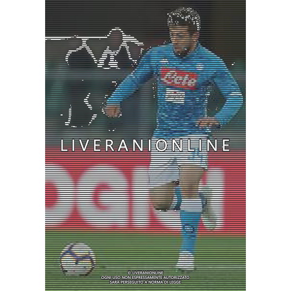 Campionato di Calcio Serie A TIM 2018/2019 32a Giornata Verona - 14.04.2019 Chievo-Napoli Nella Foto:Amin Younes /Ph.Vitez-Ag. Aldo Liverani