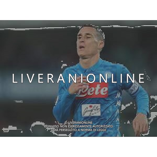 Campionato di Calcio Serie A TIM 2018/2019 32a Giornata Verona - 14.04.2019 Chievo-Napoli Nella Foto:Jose Callejon /Ph.Vitez-Ag. Aldo Liverani