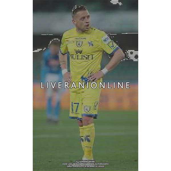 Campionato di Calcio Serie A TIM 2018/2019 32a Giornata Verona - 14.04.2019 Chievo-Napoli Nella Foto:Emanuele Giaccherini /Ph.Vitez-Ag. Aldo Liverani