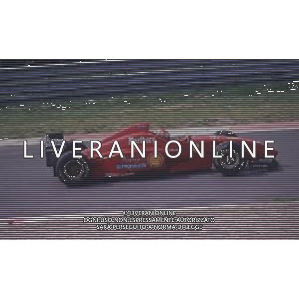 RETROSPETTIVA EDDIE IRVINE PILOTA F1 NELLA FOTO EDDIE IRVINE NEL 1996 AG ALDO LIVERANI SAS