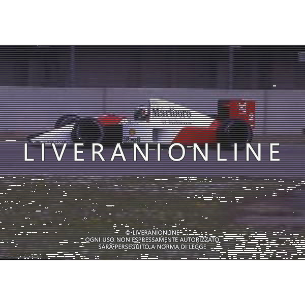 RETROSPETTIVA GERHARD BERGER PILOTA F1 NELLA FOTO GERHARD BERGER CON LA MC LAREN 1991 AG ALDO LIVERANI SAS