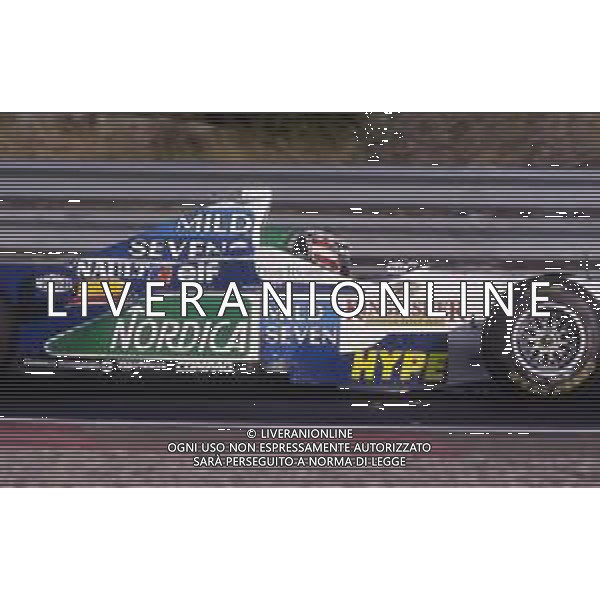 RETROSPETTIVA GERHARD BERGER PILOTA F1 NELLA FOTO GERHARD BERGER NEL 1996 CON LA BENETTON AG ALDO LIVERANI SAS 