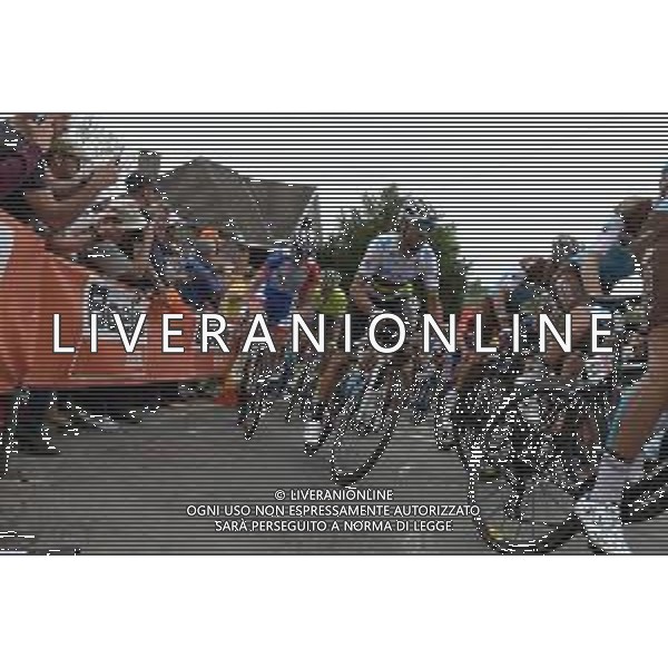 24-04-2019 La Fleche Wallonne; 2019, Movistar; Valverde, Alejandro; Huy; ©SIROTTI / AGENZIA ALDO LIVERANI SAS