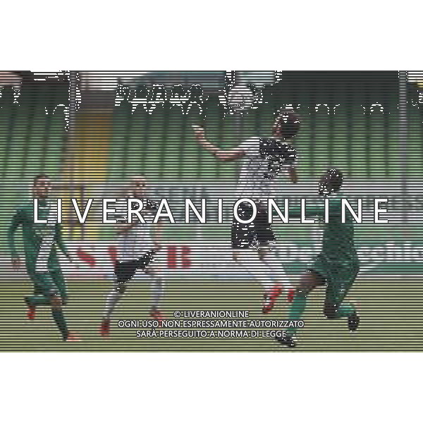 Cesena - Castelfidardo campionato di calcio serie D 28/04/2019 nella foto: Ricciardo Giovanni (Cesena fc) ©Claudio Zamagni/Agenzia Aldo Liverani s.a.s. / AGENZIA ALDO LIVERANI SAS - Cesena - Castelfidardo campionato di calcio serie D 28.04.2019