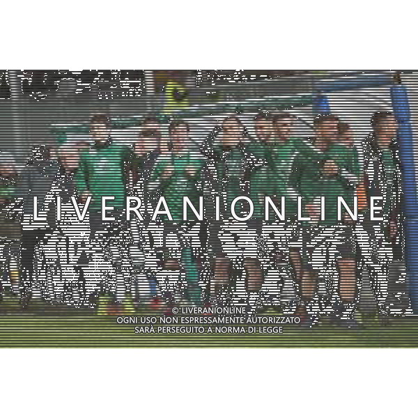 Calcio Serie C Gir.B: Pordenone Vs Giana Erminio, stadio Ottavio Bottecchia Pordenone (PN), 28 aprile 2019 Esultanza festeggiamenti per la promozione in Serie B © Alessio Marini / AGENZIA ALDO LIVERANI SAS