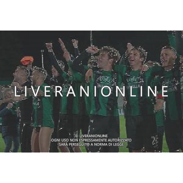 Calcio Serie C Gir.B: Pordenone Vs Giana Erminio, stadio Ottavio Bottecchia Pordenone (PN), 28 aprile 2019 Esultanza festeggiamenti per la promozione in Serie B © Alessio Marini / AGENZIA ALDO LIVERANI SAS