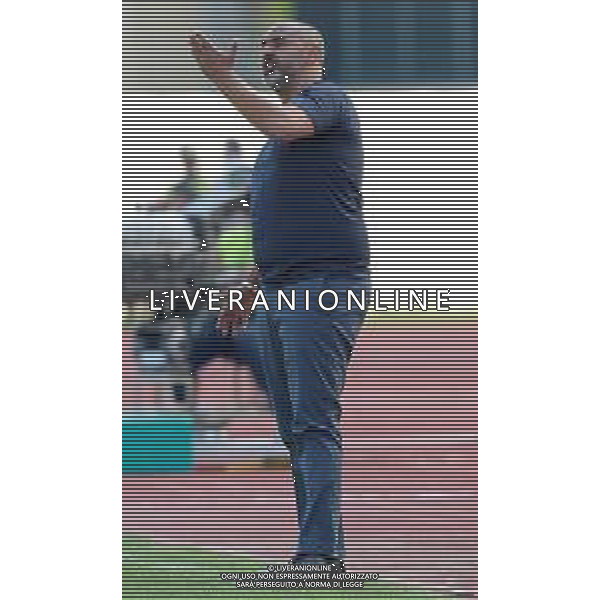 Campionato di Calcio Serie B BKT 2018/2019 36a Giornata Padova - 01.05.2019 Padova-Lecce Nella Foto:Fabio Liverani /Ph.Vitez-Ag. Aldo Liverani