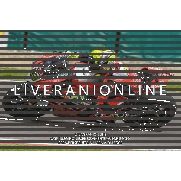 Motori: WorldSBK Pirelli Italian Round 11 Maggio 2019 Imola (Bo) nella foto alvaro Bautista 19 - SUPERBIKE ©Alessio Marini / AGENZIA ALDO LIVERANI SAS
