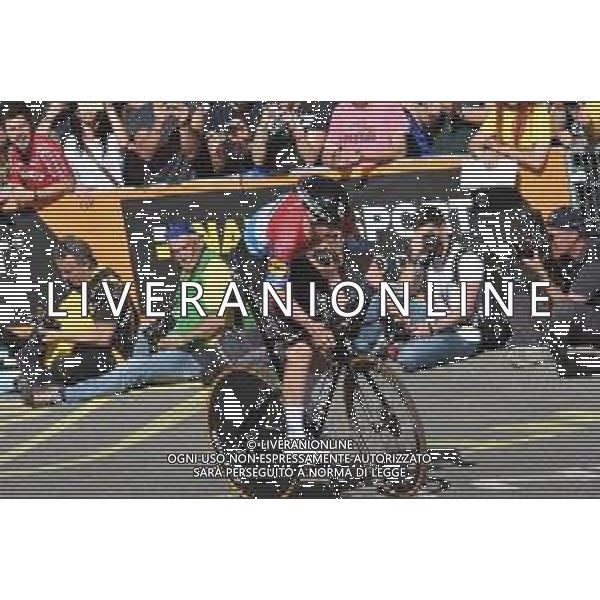 11-05-2019 Giro D\'italia; Tappa 01 Bologna - Bologna; 2019, Deceunick - Quickstep; Jungels, Bob; Bologna - San Luca; ©SIROTTI / AGENZIA ALDO LIVERANI SAS