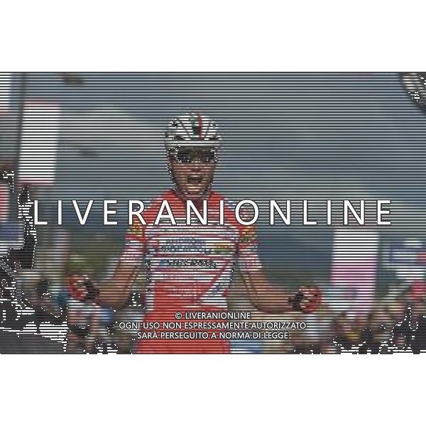 16-05-2019 Giro D\'italia; Tappa 06 Cassino - San Giovanni Rotondo; 2019, Androni Giocattoli - Sidermec; Masnada, Fausto; San Giovanni Rotondo;