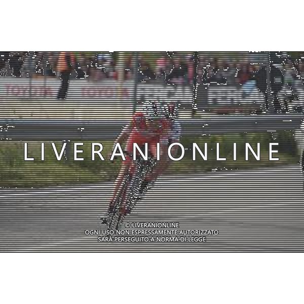16-05-2019 Giro D\'italia; Tappa 06 Cassino - San Giovanni Rotondo; 2019, Androni Giocattoli - Sidermec; Masnada, Fausto; San Giovanni Rotondo;