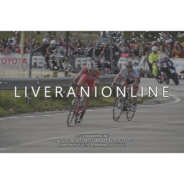 16-05-2019 Giro D\'italia; Tappa 06 Cassino - San Giovanni Rotondo; 2019, Androni Giocattoli - Sidermec; 2019, Uae - Emirates; Masnada, Fausto; Conti, Valerio; San Giovanni Rotondo;