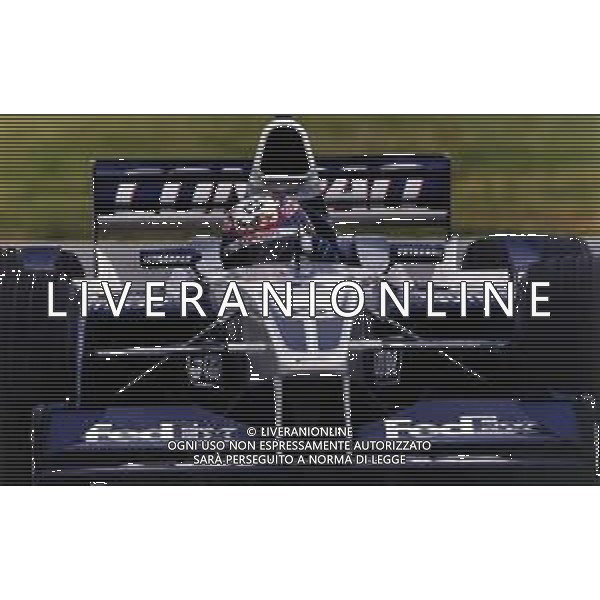 RETROSPETTIVA JUAN PABLO MONTOYA PILOTA F1 NELLA FOTO JUAN PABLO MONTOYA NEL 2002 AG ALDO LIVERANI SAS