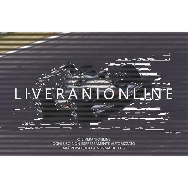 RETROSPETTIVA DAVID COULTHARD PILOTA F1 NELLA FOTO DAVID COULTHARD AG ALDO LIVERANI SAS