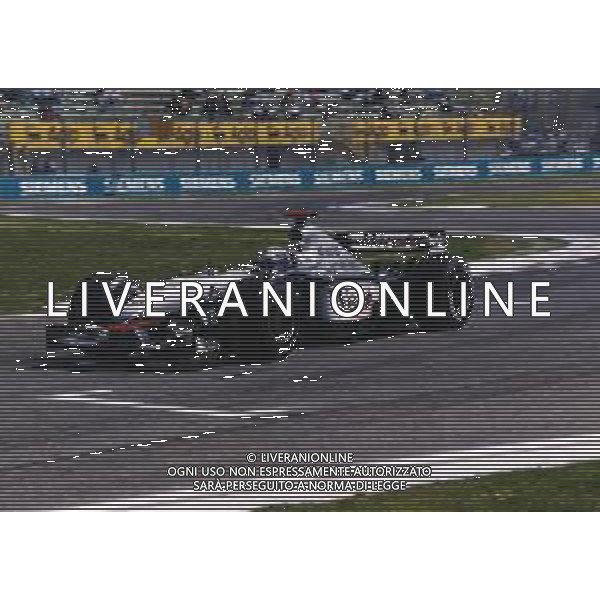 RETROSPETTIVA DAVID COULTHARD PILOTA F1 -2003 NELLA FOTO DAVID COULTHARD AG ALDO LIVERANI SAS