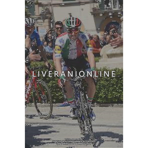 17-05-2019 Giro D\'italia; Tappa 07 Vasto - L\'aquila; 2019, Deceunick - Quickstep; Viviani, Elia; Vasto; © SIROTTI / AGENZIA ALDO LIVERANI SAS