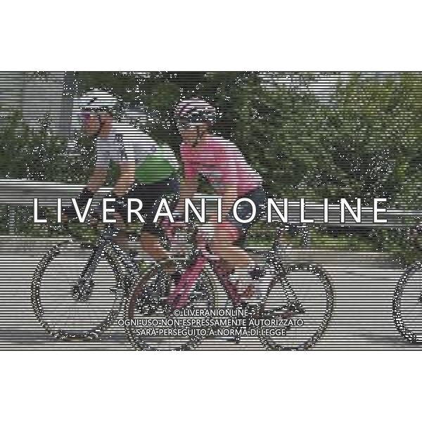 18-05-2019 Giro D\'italia; Tappa 08 Tortoleto Lido - Pesaro; 2019, Uae - Emirates; Conti, Valerio; ©SIROTTI / AGENZIA ALDO LIVERANI SAS