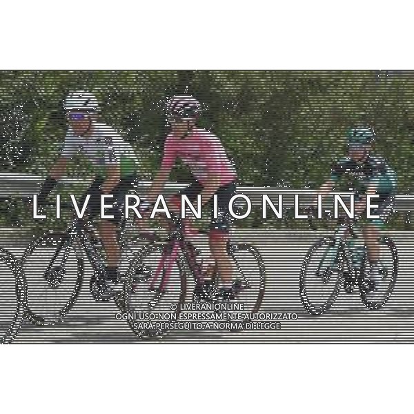 18-05-2019 Giro D\'italia; Tappa 08 Tortoleto Lido - Pesaro; 2019, Uae - Emirates; Conti, Valerio; ©SIROTTI / AGENZIA ALDO LIVERANI SAS