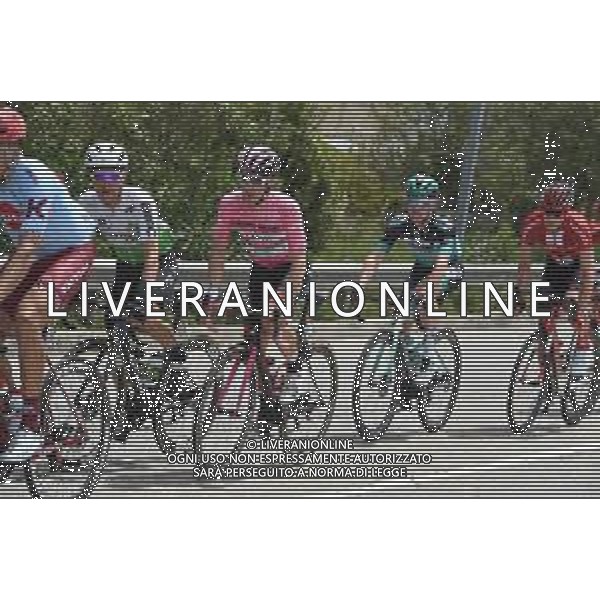 18-05-2019 Giro D\'italia; Tappa 08 Tortoleto Lido - Pesaro; 2019, Uae - Emirates; Conti, Valerio; ©SIROTTI / AGENZIA ALDO LIVERANI SAS