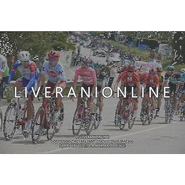 18-05-2019 Giro D\'italia; Tappa 08 Tortoleto Lido - Pesaro; 2019, Uae - Emirates; Conti, Valerio; ©SIROTTI / AGENZIA ALDO LIVERANI SAS