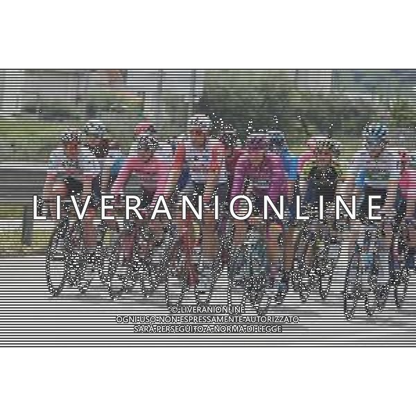 18-05-2019 Giro D\'italia; Tappa 08 Tortoleto Lido - Pesaro; 2019, Uae - Emirates; 2019, Bora - Hansgrohe; Conti, Valerio; Ackermann, Pascal; ©SIROTTI / AGENZIA ALDO LIVERANI SAS