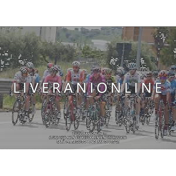 18-05-2019 Giro D\'italia; Tappa 08 Tortoleto Lido - Pesaro; 2019, Uae - Emirates; 2019, Bora - Hansgrohe; Conti, Valerio; Ackermann, Pascal; ©SIROTTI / AGENZIA ALDO LIVERANI SAS