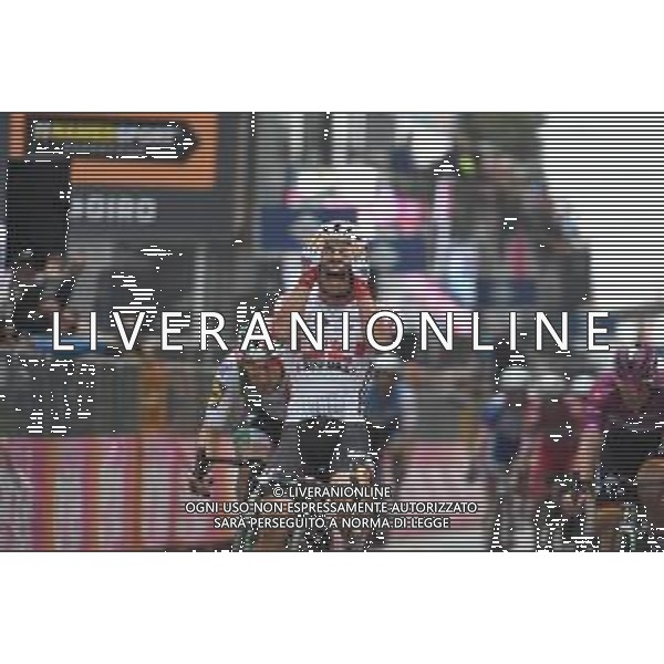 18-05-2019 Giro D\'italia; Tappa 08 Tortoleto Lido - Pesaro; 2019, Lotto - Soudal; Ewan, Caleb; Pesaro; ©SIROTTI / AGENZIA ALDO LIVERANI SAS