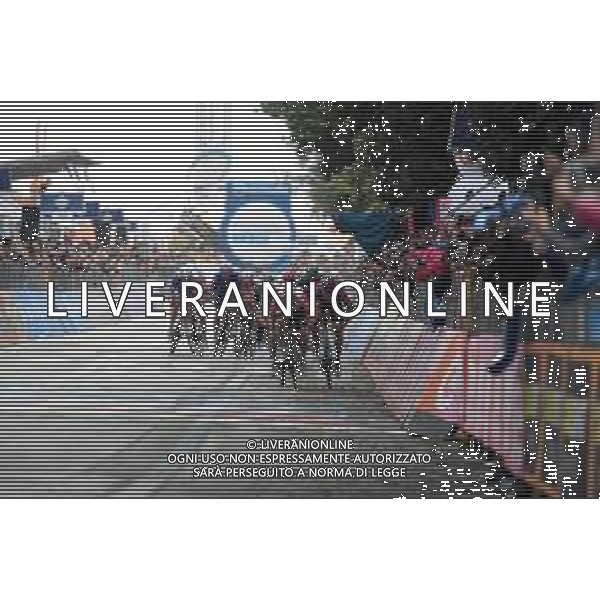 18-05-2019 Giro D\'italia; Tappa 08 Tortoleto Lido - Pesaro; 2019, Bardiani - Csf; 2019, Bora - Hansgrohe; Ewan, Caleb; Ackermann, Pascal; Pesaro; ©SIROTTI / AGENZIA ALDO LIVERANI SAS