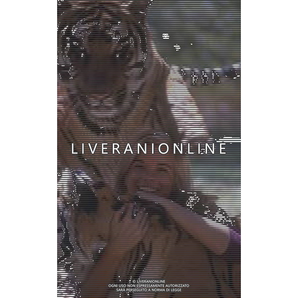 TIGRE-La tigre è un mammifero carnivoro della famiglia dei felidi. È il più grande dei cosiddetti "grandi felini" che costituiscono il genere Panthera. È un cosiddetto predatore alfa, ovvero si colloca all\'apice della catena alimentare, non avendo predatori in natura, a parte l\'uomo AG ALDO LIVERANI SAS