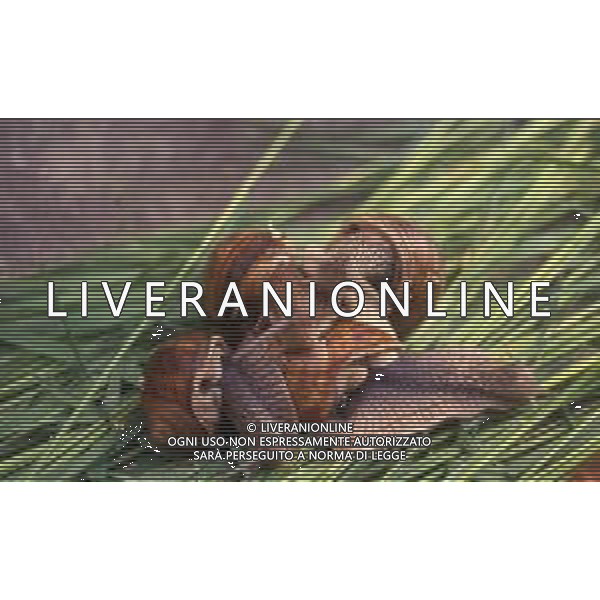 CHIOCCIOLA-LUMACA La chiocciola è un animale invertebrato appartenente al phylum dei molluschi. Striscia sul piede e utilizza la conchiglia come difesa da condizioni climatiche sfavorevoli e da pericoli esterni. Non si tratta di una vera e propria superfamiglia di gastropodi, ma semplicemente del nome dato comunemente a questo tipo di invertebrato. Di seguito perciò, sono elencate alcune delle specie conosciute sotto questo epiteto. AG ALDO LIVERANI SAS