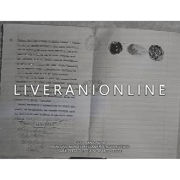 1946 IL DOCUMENTO DELLA BANCA D\'ITALIA DELLA CONSEGNA DELLA CORONA DELLA FAMIGLIA SAVOIA AG ALDO LIVERANI SAS