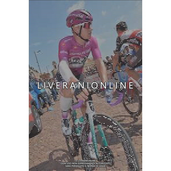 22-05-2019 Giro D\'italia; Tappa 11 Carpi - Novi Ligure; 2019, Bora - Hansgrohe; Ackermann, Pascal; Carpi; ©SIROTTI / AGENZIA ALDO LIVERANI SAS
