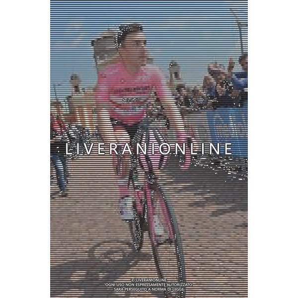 22-05-2019 Giro D\'italia; Tappa 11 Carpi - Novi Ligure; 2019, Uae - Emirates; Conti, Valerio; Carpi; ©SIROTTI / AGENZIA ALDO LIVERANI SAS