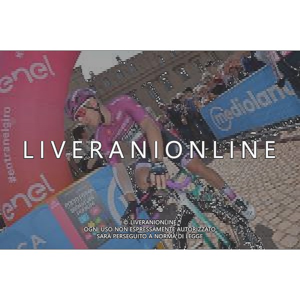 22-05-2019 Giro D\'italia; Tappa 11 Carpi - Novi Ligure; 2019, Bora - Hansgrohe; Ackermann, Pascal; Carpi; ©SIROTTI / AGENZIA ALDO LIVERANI SAS