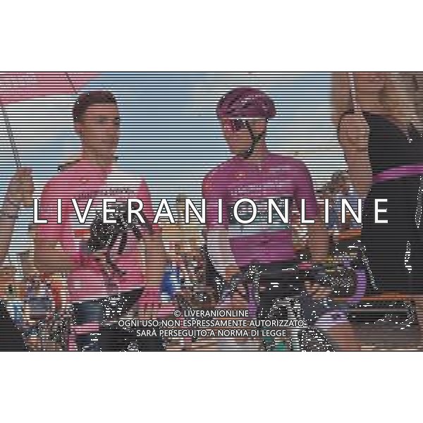 22-05-2019 Giro D\'italia; Tappa 11 Carpi - Novi Ligure; 2019, Bora - Hansgrohe; 2019, Uae - Emirates; Ackermann, Pascal; Conti, Valerio; Carpi; ©SIROTTI / AGENZIA ALDO LIVERANI SAS