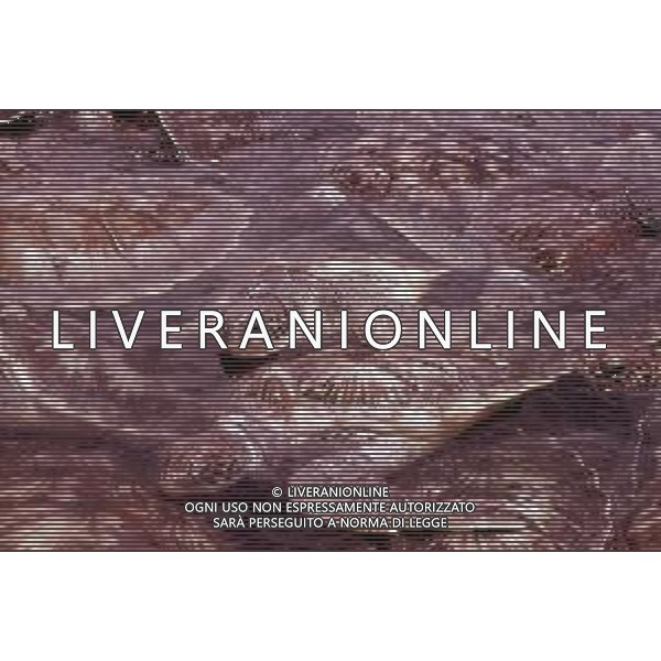 TARTARUGA - Le tartarughe d\'acqua ©ARCHIVIO / AGENZIA ALDO LIVERANI SAS